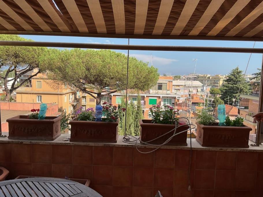 Attico Urban Chic Vakantiehuis *